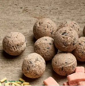 Gardman Fat Snax 50 Box - image 3