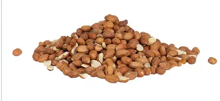 Gardman Peanuts Wild Bird Food 800g - image 2