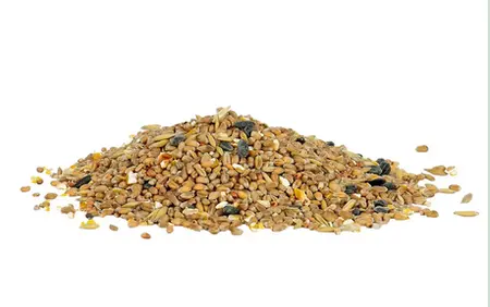 GM Seed Mix 1.6kg - image 2