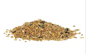 GM Seed Mix 1.6kg - image 2