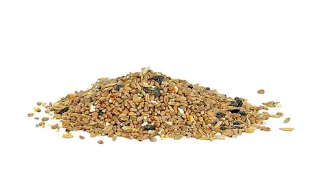 Gardman Wild Bird Seed Mix 4kg - image 2