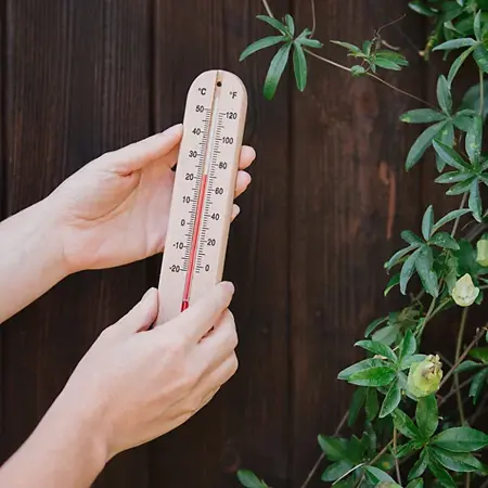 Gardman Wooden Thermometer - image 2