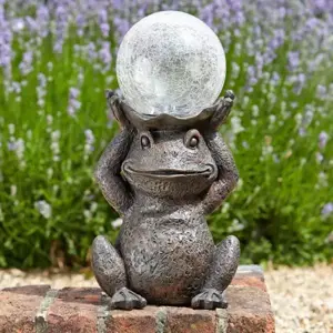 Gazing Frog Solar Lit Garden Ornament - image 2