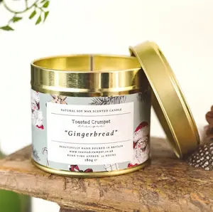 Gingerbread (All Things Jolly Sage Green) Candle in a Matt Gold Tin - image 2