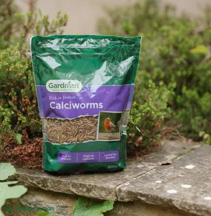 GM Calciworms 500g - image 2