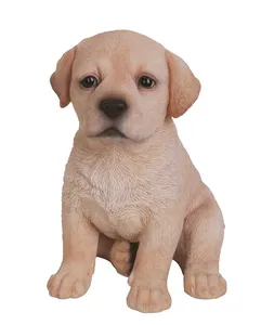 Golden Labrador Pup