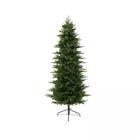 Grandis slim fir 5ft/150cm