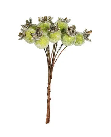Green Frosted Berry Bunch – 10 Stems