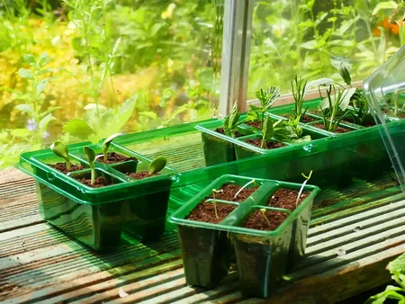 Gro-Sure Visiroot Windowsill Propagator Set - image 1
