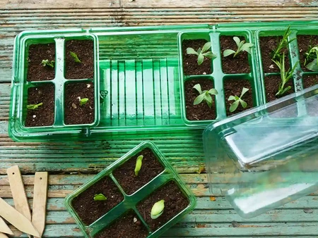 Gro-Sure Visiroot Windowsill Propagator Set - image 2