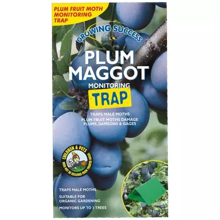 GS Plum Maggot Monitoring Trap