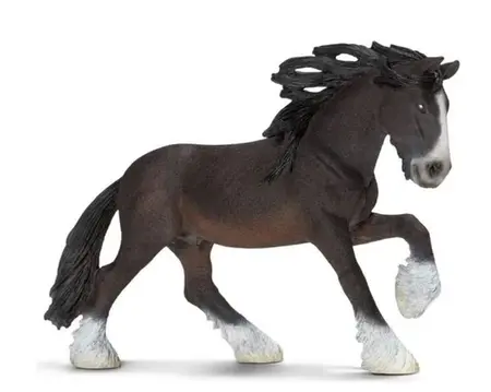 H13734 - fw SHIRE STALLION 5