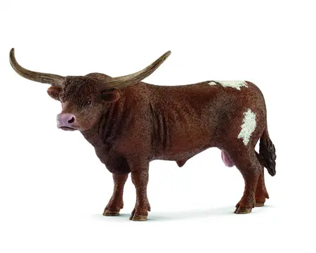 H13866 - fw TEXAS LONGHORN BULL 5