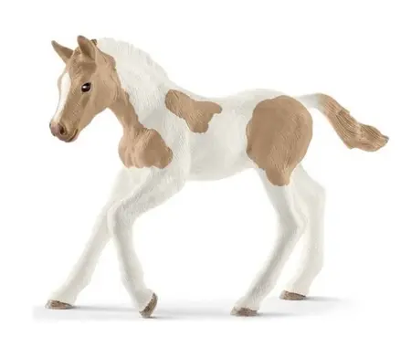 H13886 - hc PAINT HORSE FOAL 5
