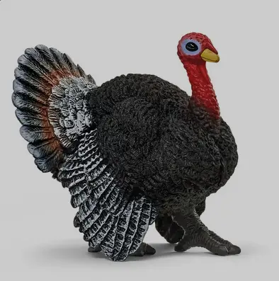 H13900 - fw TURKEY 5 - image 1