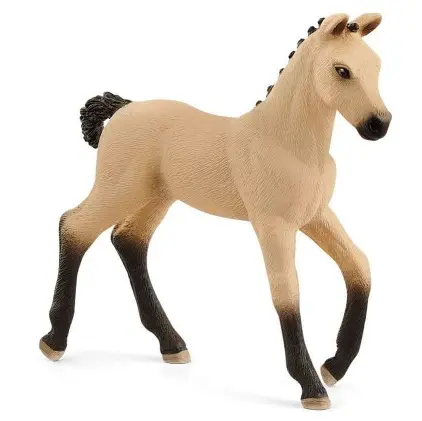 H13929 - hc HANNOVARIAN FOAL RED DUN 5
