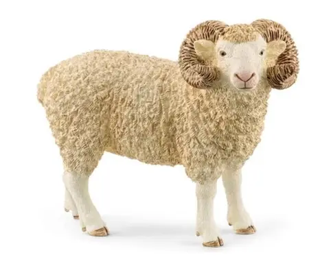 H13937 - fw RAM 5