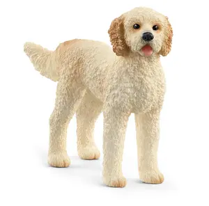 H13939 - fw GOLDEN DOODLE 5
