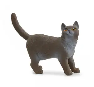 H13973 - s fw BRITISH SHORTHAIR CAT 5