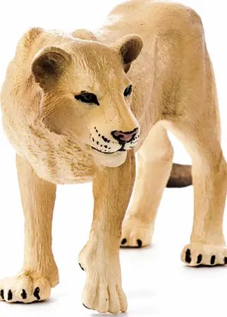 H14825 - wl LIONESS 5 - image 2