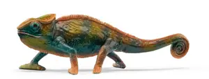 H14858 - wl CHAMELEON 5 - image 1