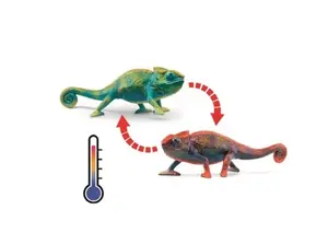 H14858 - wl CHAMELEON 5 - image 2