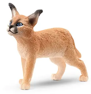 H14868 - s wl CARACAL BABY 5