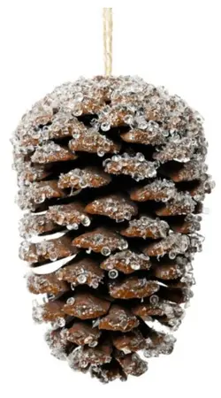 Hanger pinecone sugar