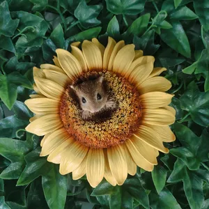 Hanging Harvest Mouse/Red Sunflower - image 2