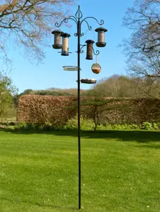 Harvest Bird Feeding Station