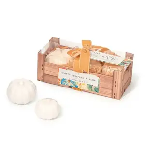 Harvest Trad. Pumpkin 3pc Soap Set White Pumpkin & Sage 40g 75g 120g - image 1