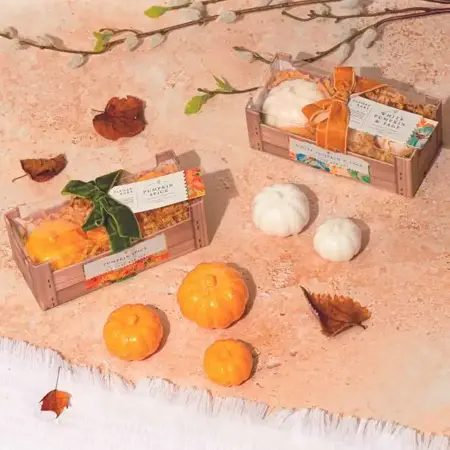 Harvest Trad. Pumpkin 3pc Soap Set White Pumpkin & Sage 40g 75g 120g - image 2