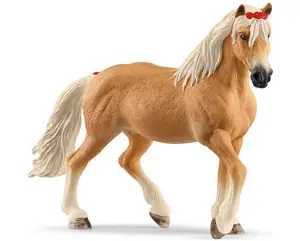 hc HAFLINGER MARE