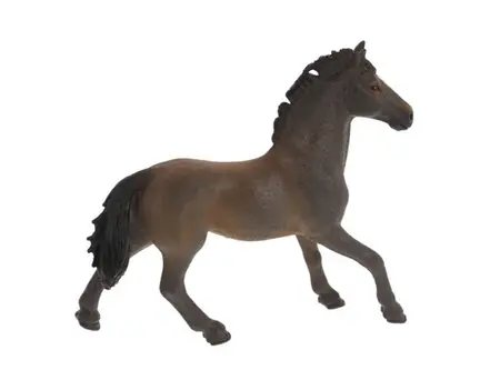 hc OLDENBURGER STALLION - image 3