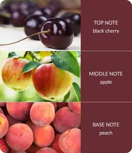 Heart & Home Reed Diffusers Sweet Black Cherries - image 2