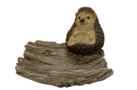 Hedgehog on Driftwood
