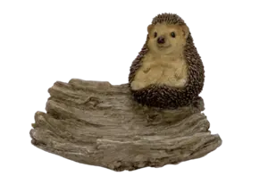 Hedgehog on Driftwood