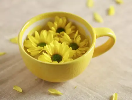 Hestia Lemon Slice Mug - image 2