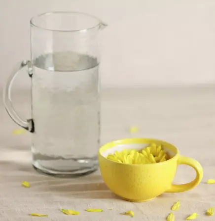 Hestia Lemon Slice Mug - image 3