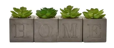 Hestia Set of 4 Faux Plants in a Cement Pot "Home " 6 x 6 cms
