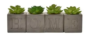 Hestia Set of 4 Faux Plants in a Cement Pot "Home " 6 x 6 cms