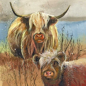 Highland Cows 1000 Piece Jigsaw Puzzle - image 2