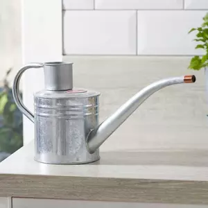 Home & Balcony Watering Can – Galvanised 1L