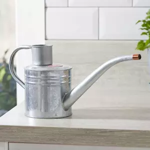 Home & Balcony Watering Can - Galvanised 1L