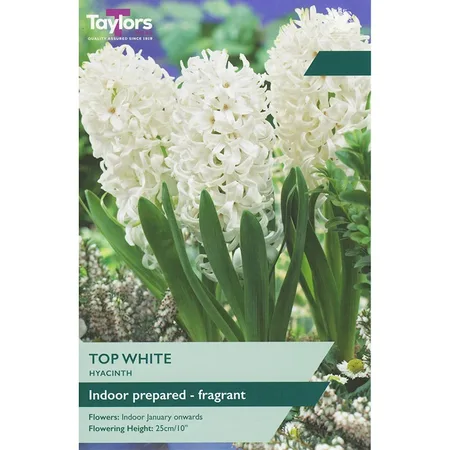 Hyacinth Top White 16-17 Prep P/P