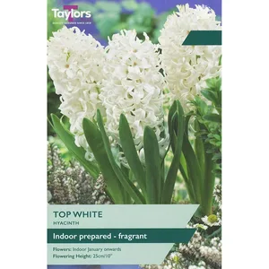Hyacinth Top White 16-17 Prep P/P