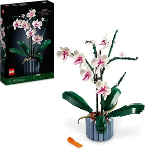 Orchid