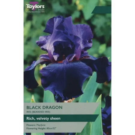 Iris Black Dragon I P/P