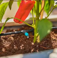 Irrigation Systems