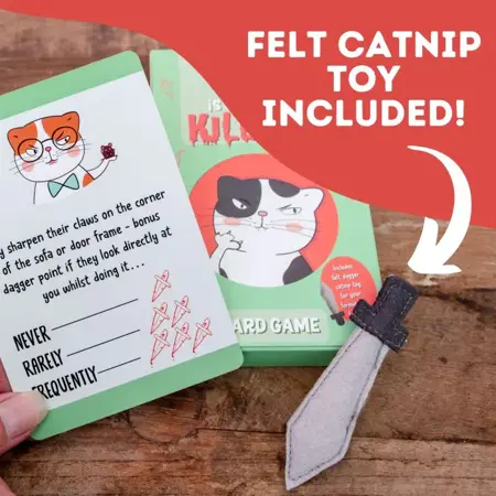 Is Your cat Trying To Kill You - image 2